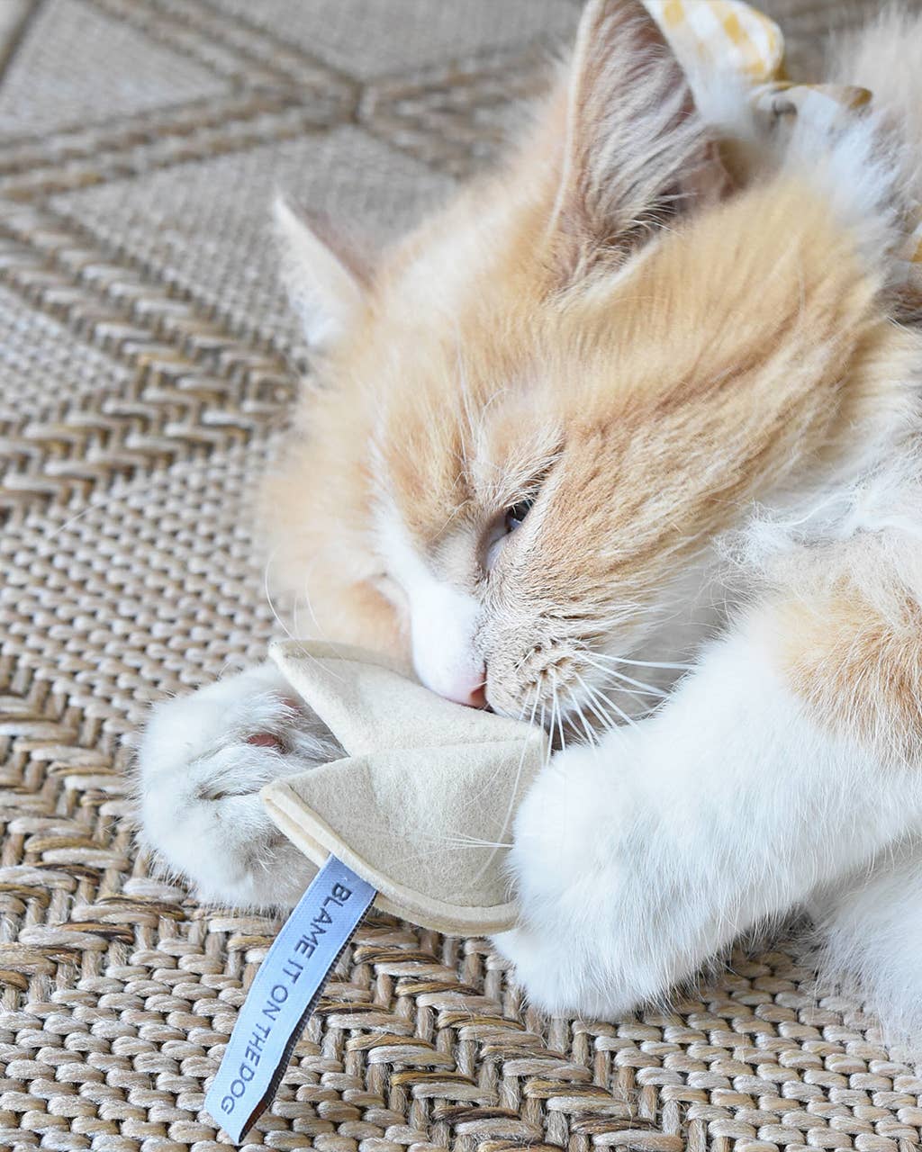 Fortune Cookie Catnip Toy: Blame It on the Dog