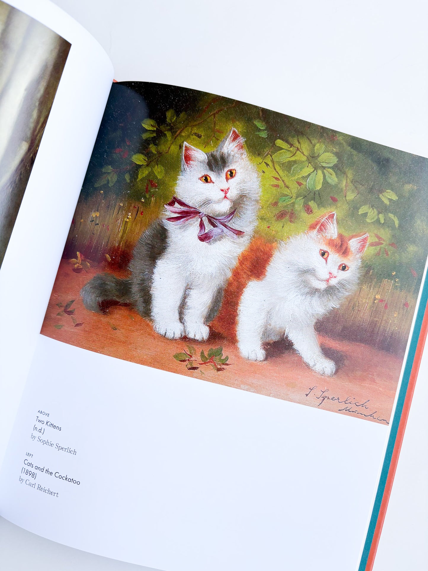 Illustration of two cats in a natural setting on a book page.