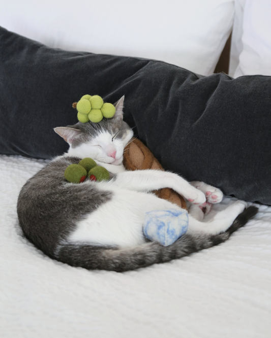 Charcuterie Cat Toy Set