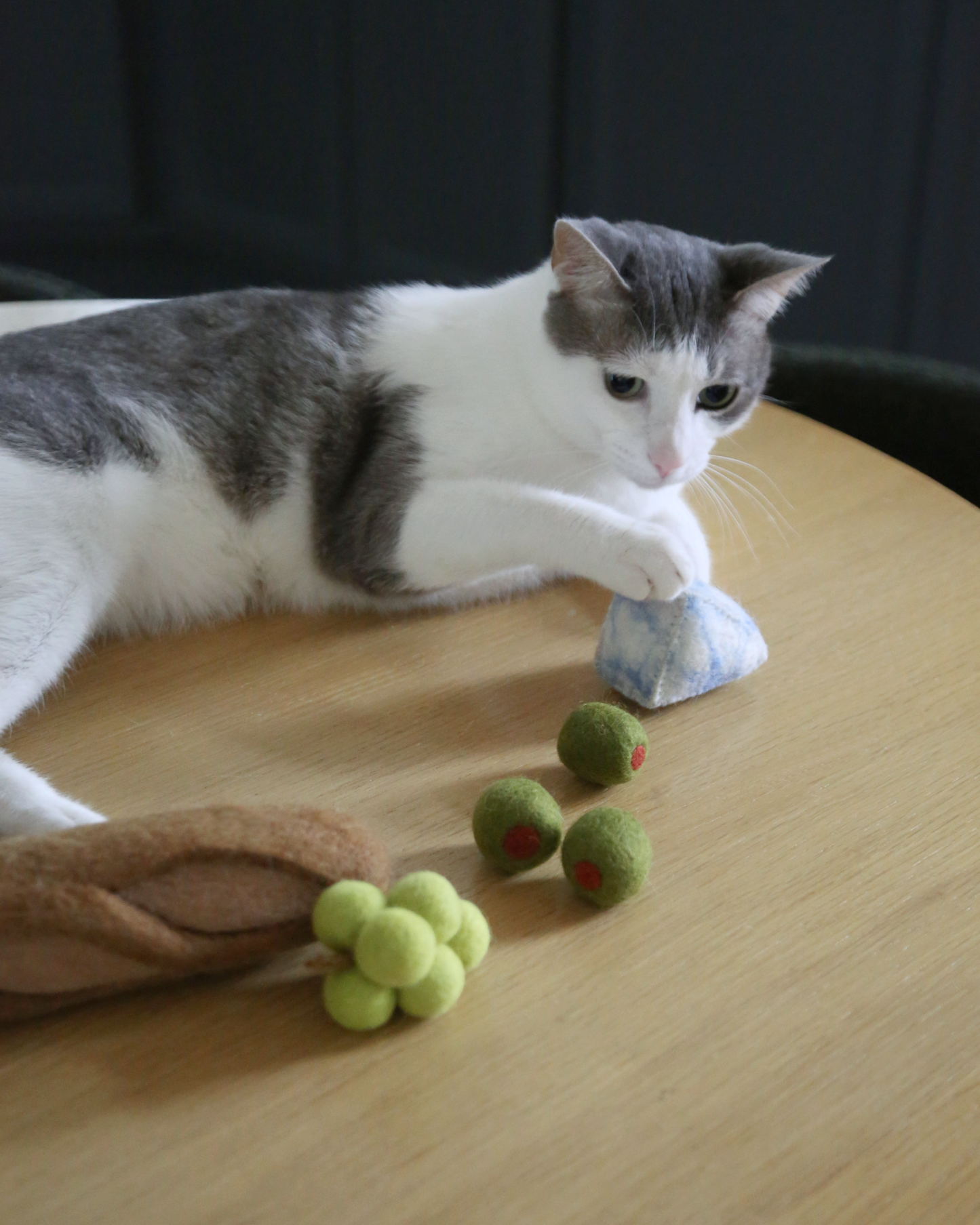 Charcuterie Cat Toy Set