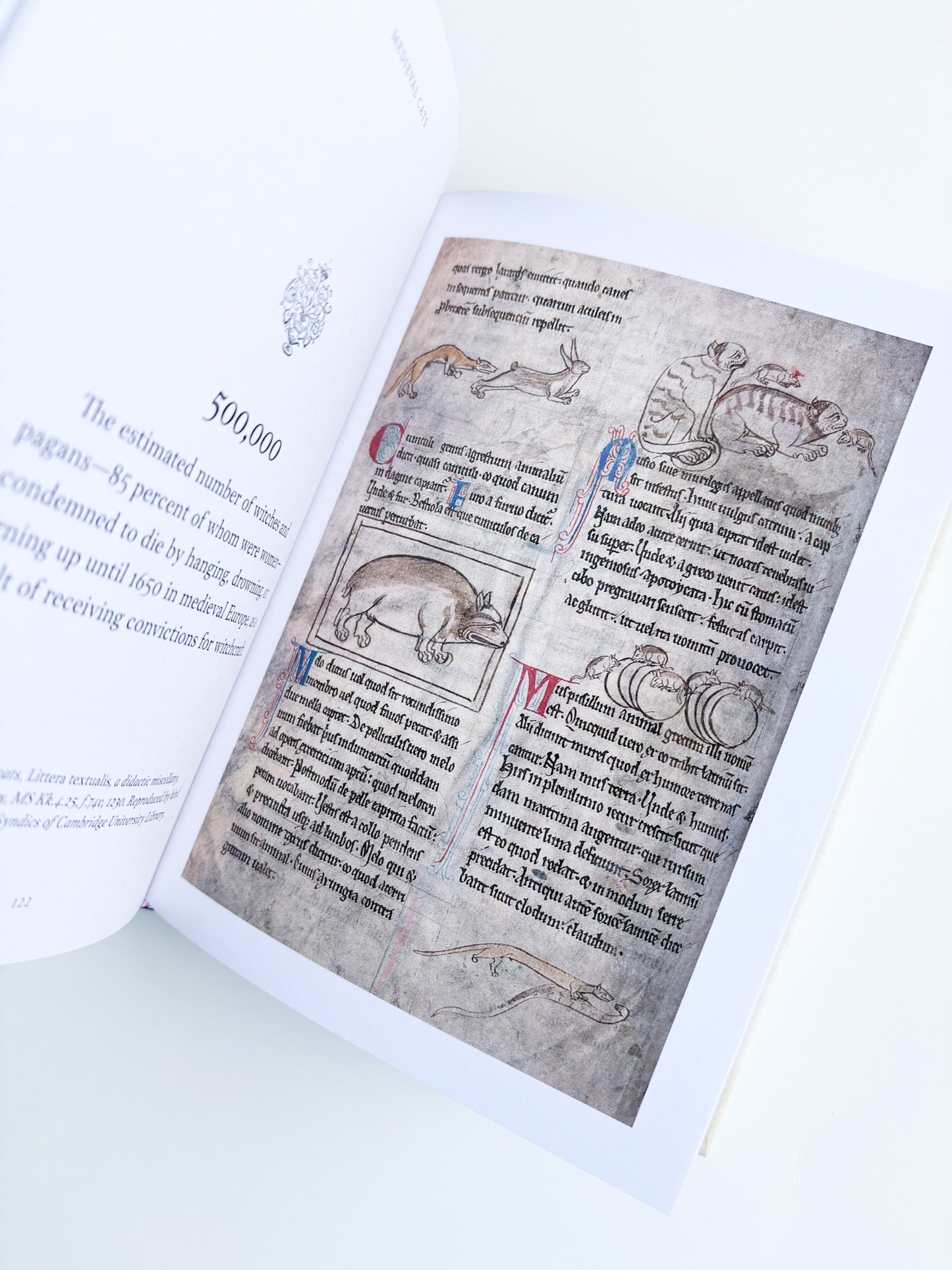 Open book with medieval text and illustrations on a white background