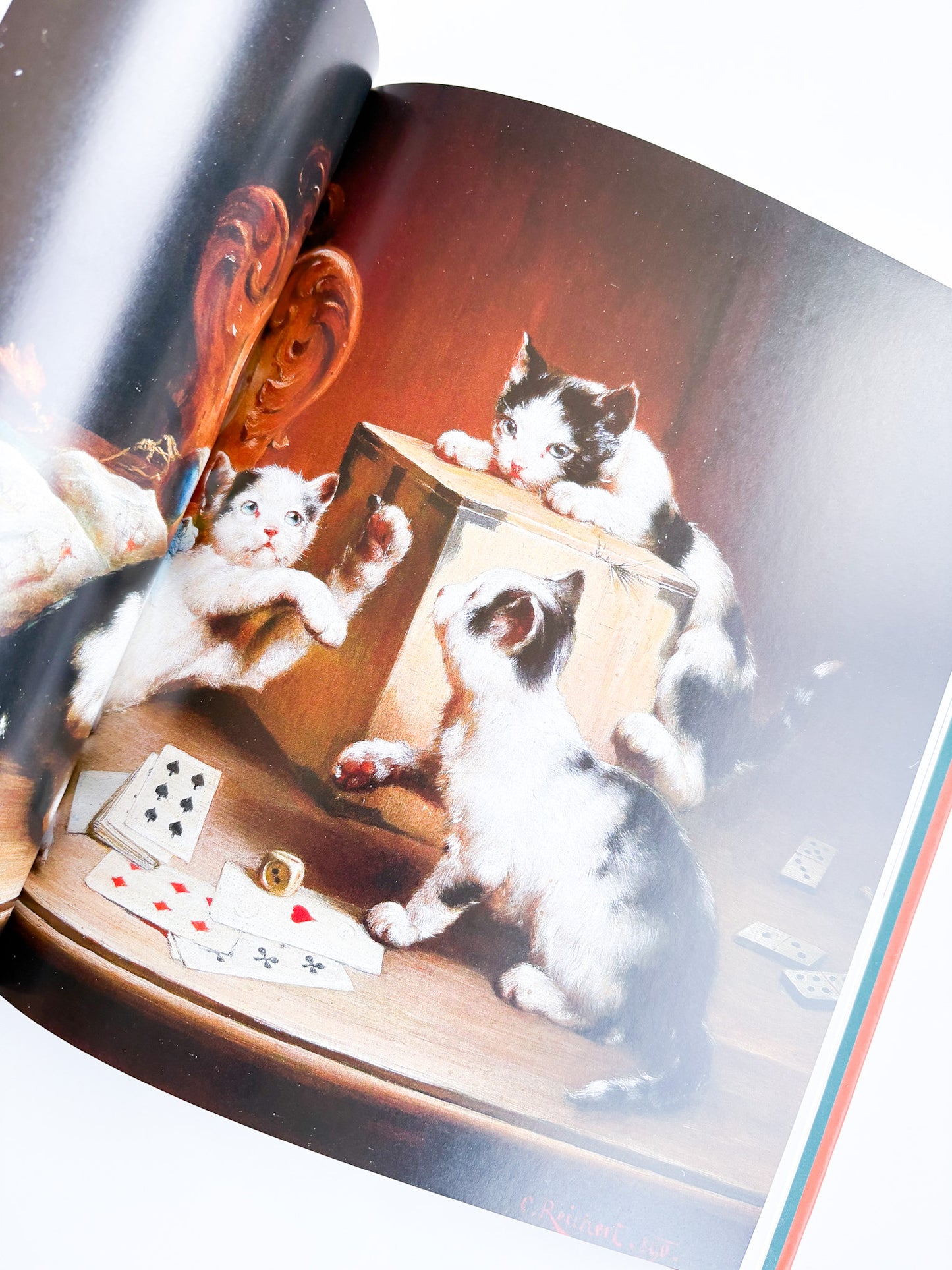 Illustration of cats around a box with playing cards on a table