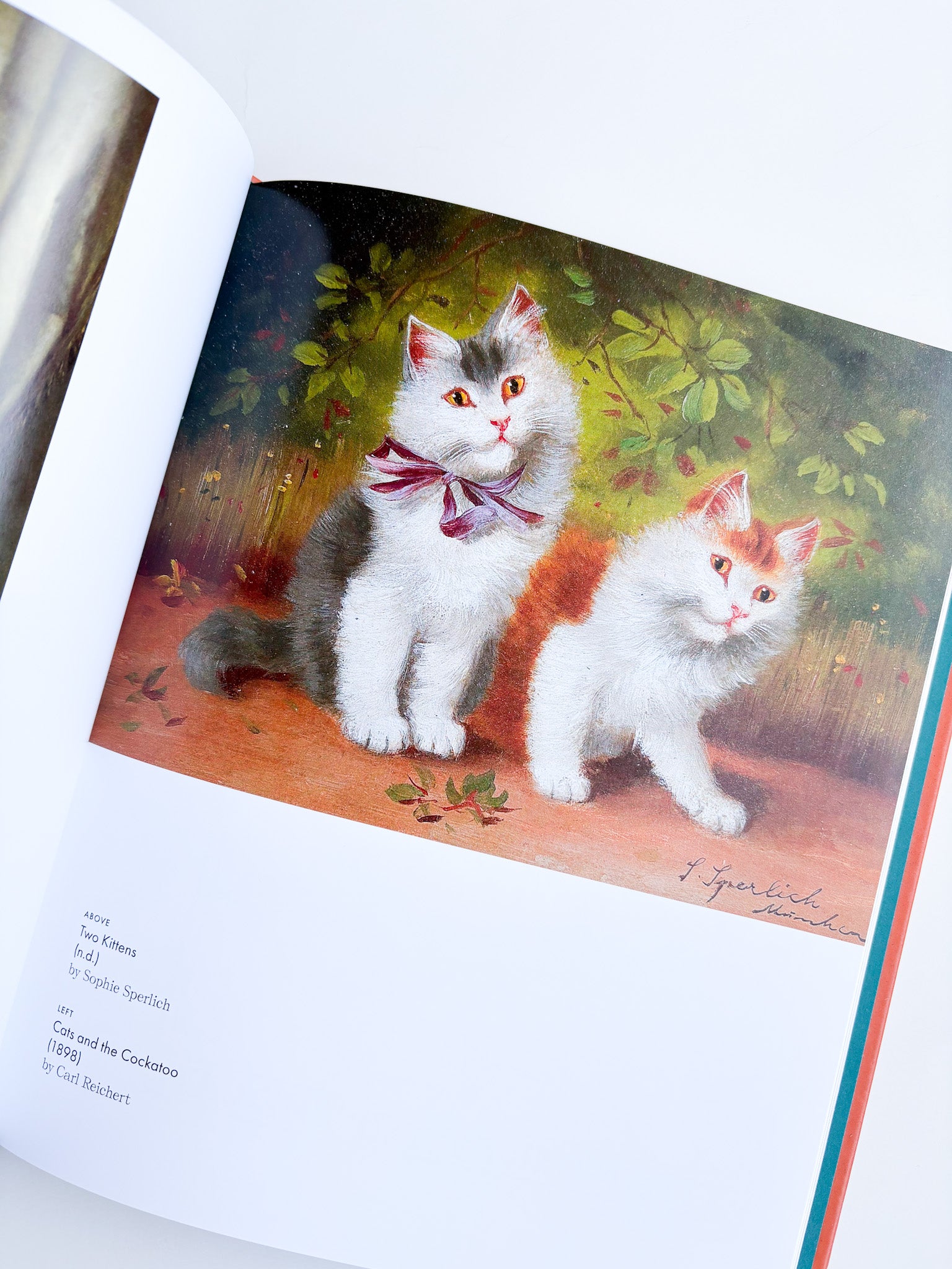 Illustration of two cats in a natural setting on a book page.