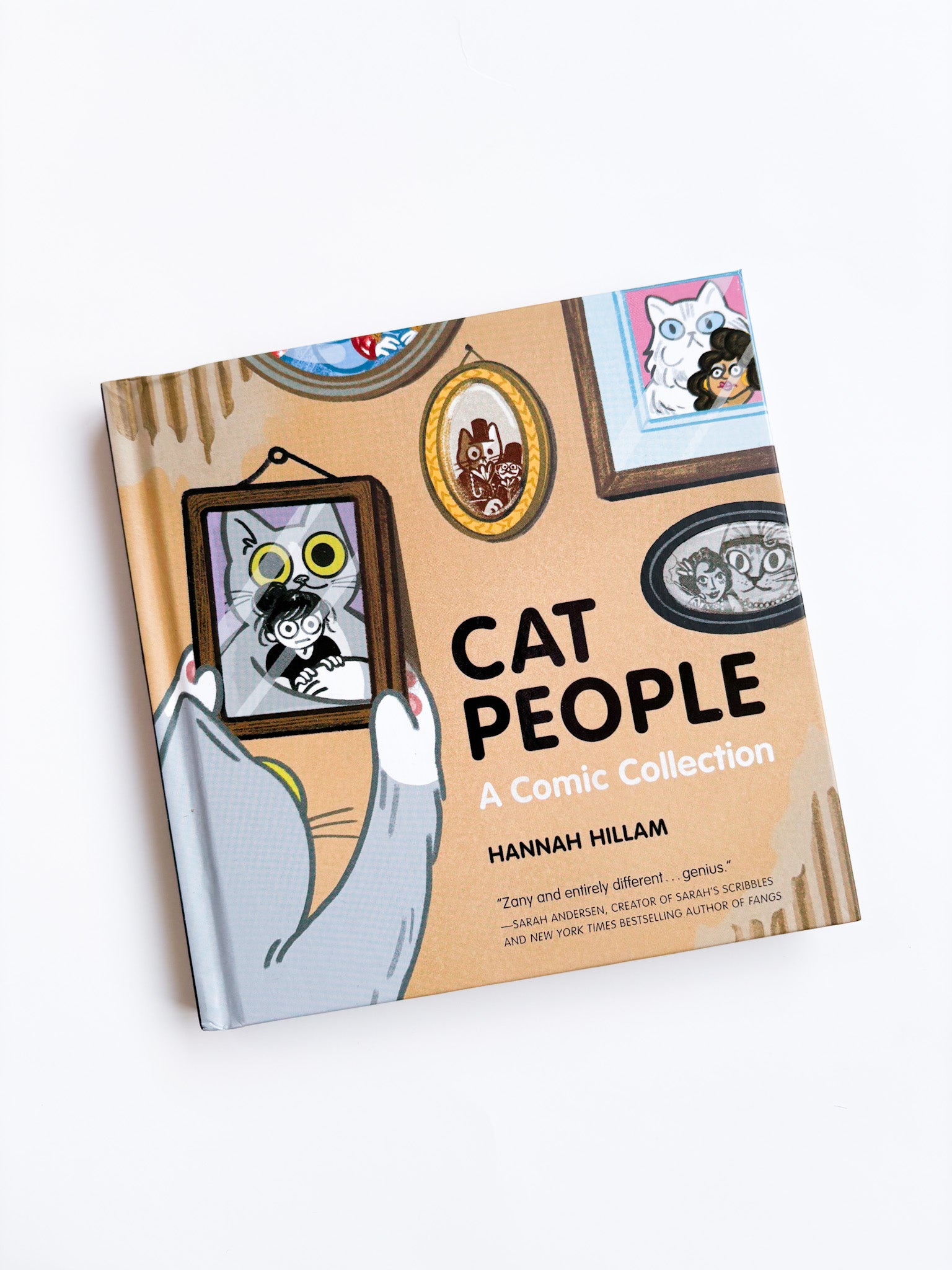 Book titled 'Cat People: A Comic Collection' by Hannah Hillam with cat-themed illustrations on the cover.