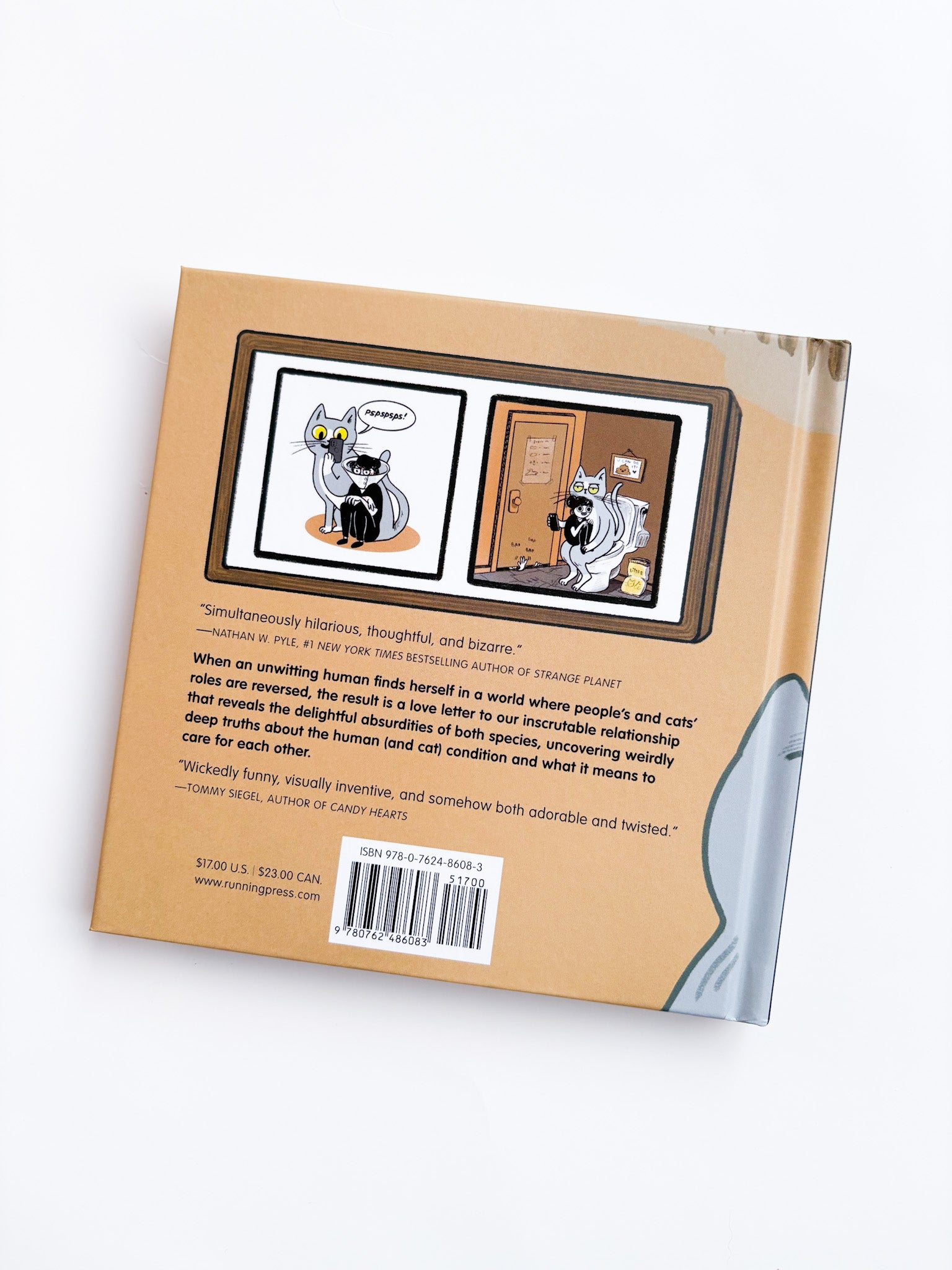 Back cover of a book with cartoon illustrations and text on a white background