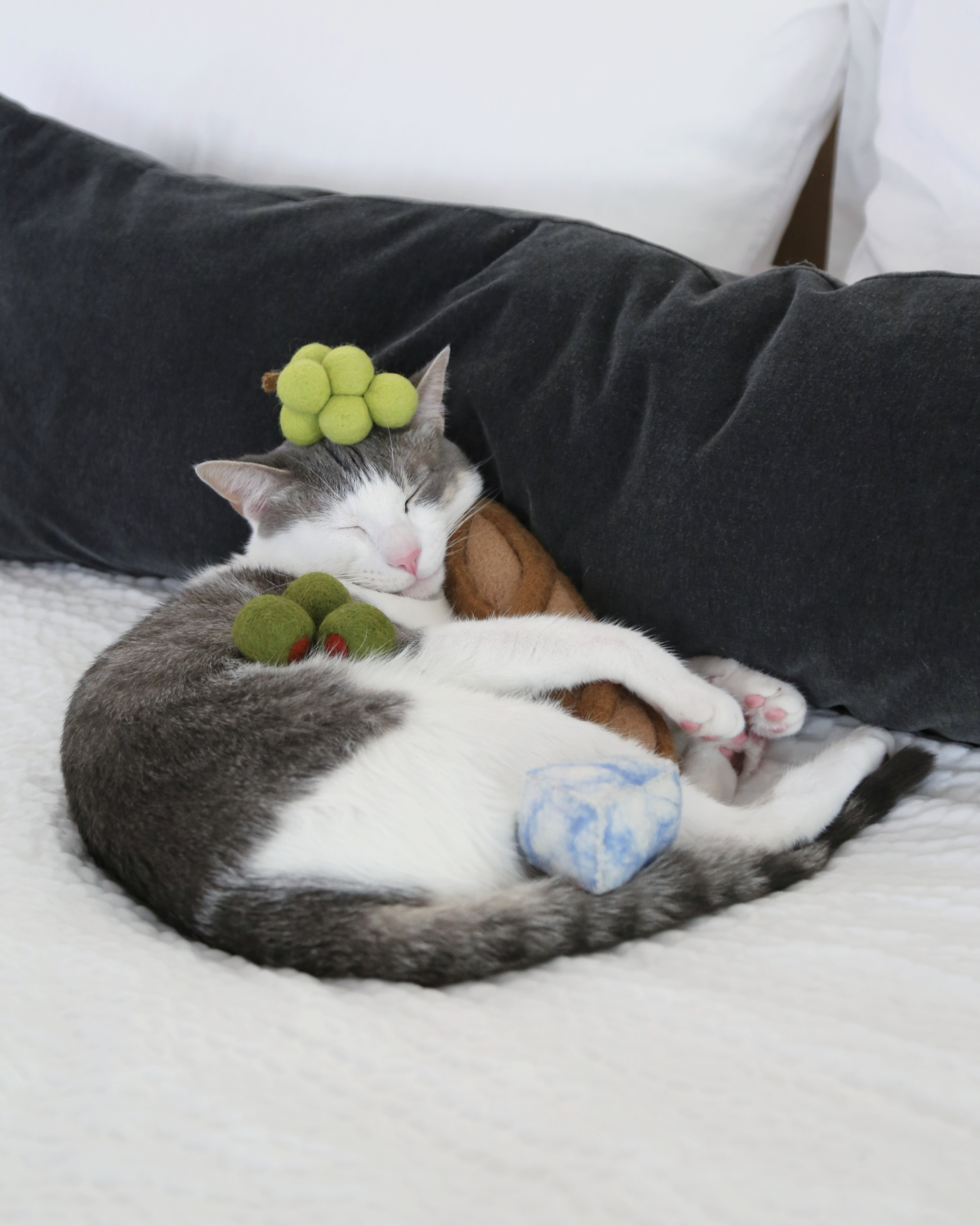 Charcuterie Cat Toy Set
