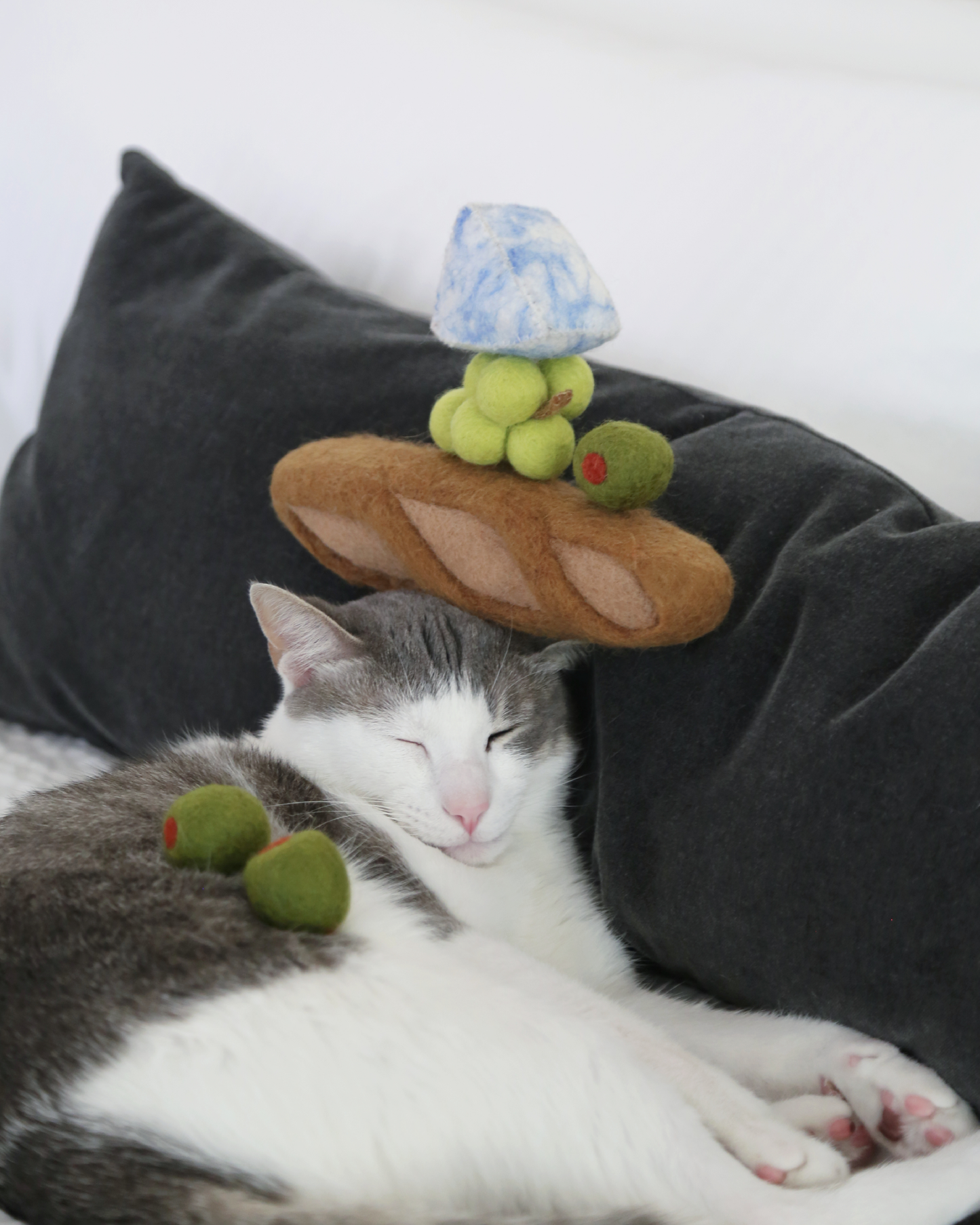 Cat lying down with a plush toy shaped like a mushroom on its head