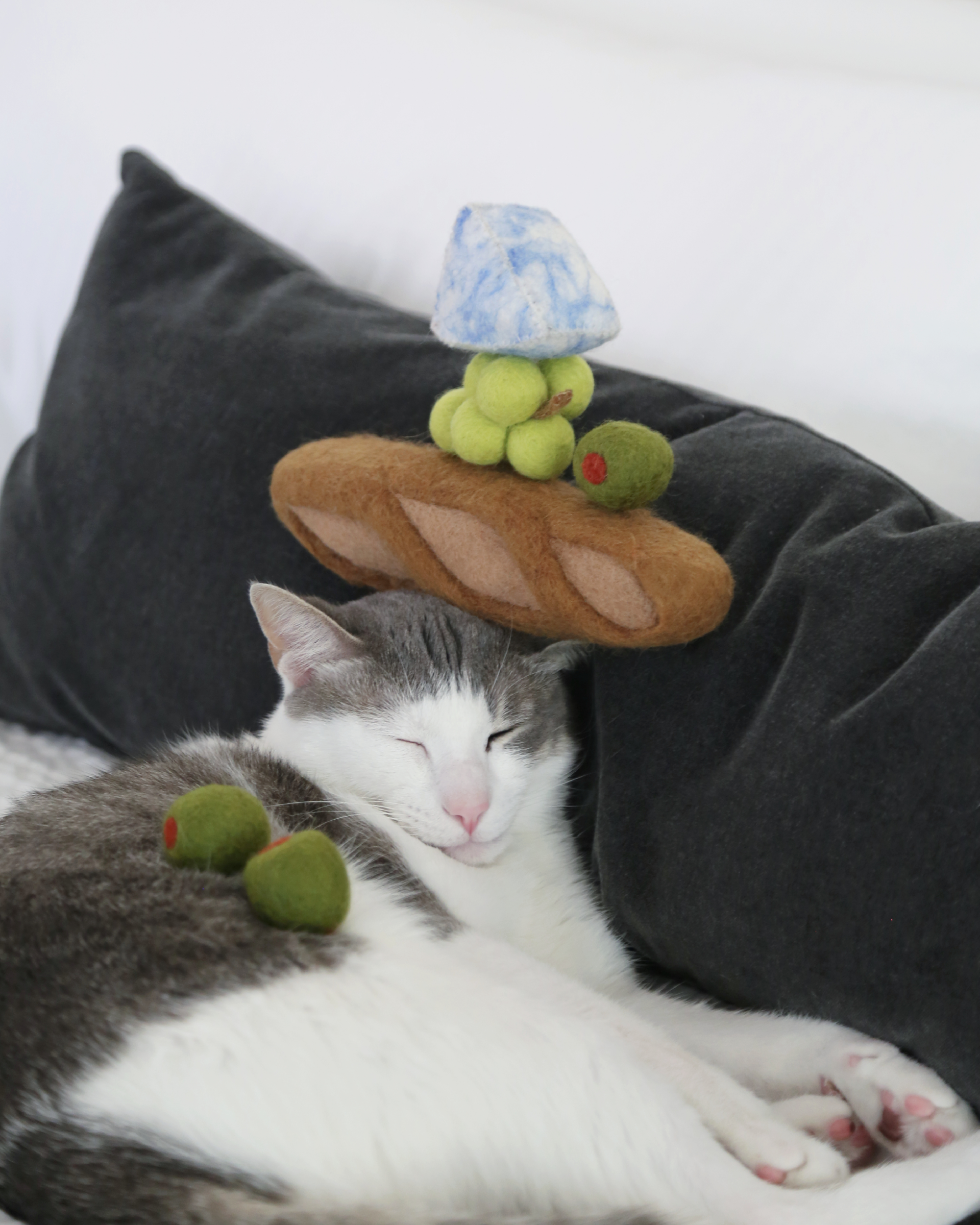 Cat lying down with a plush toy shaped like a mushroom on its head