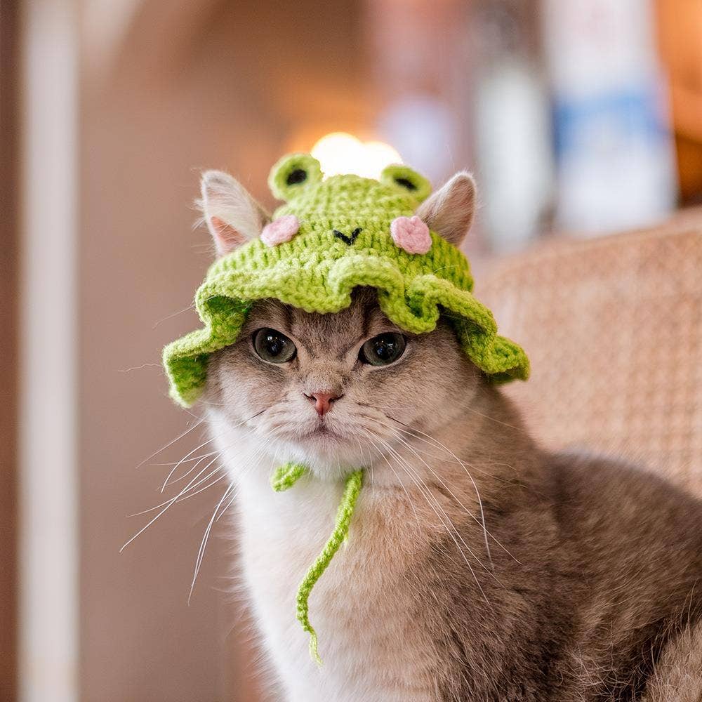 Cat wearing a green knitted hat with animal ears indoors