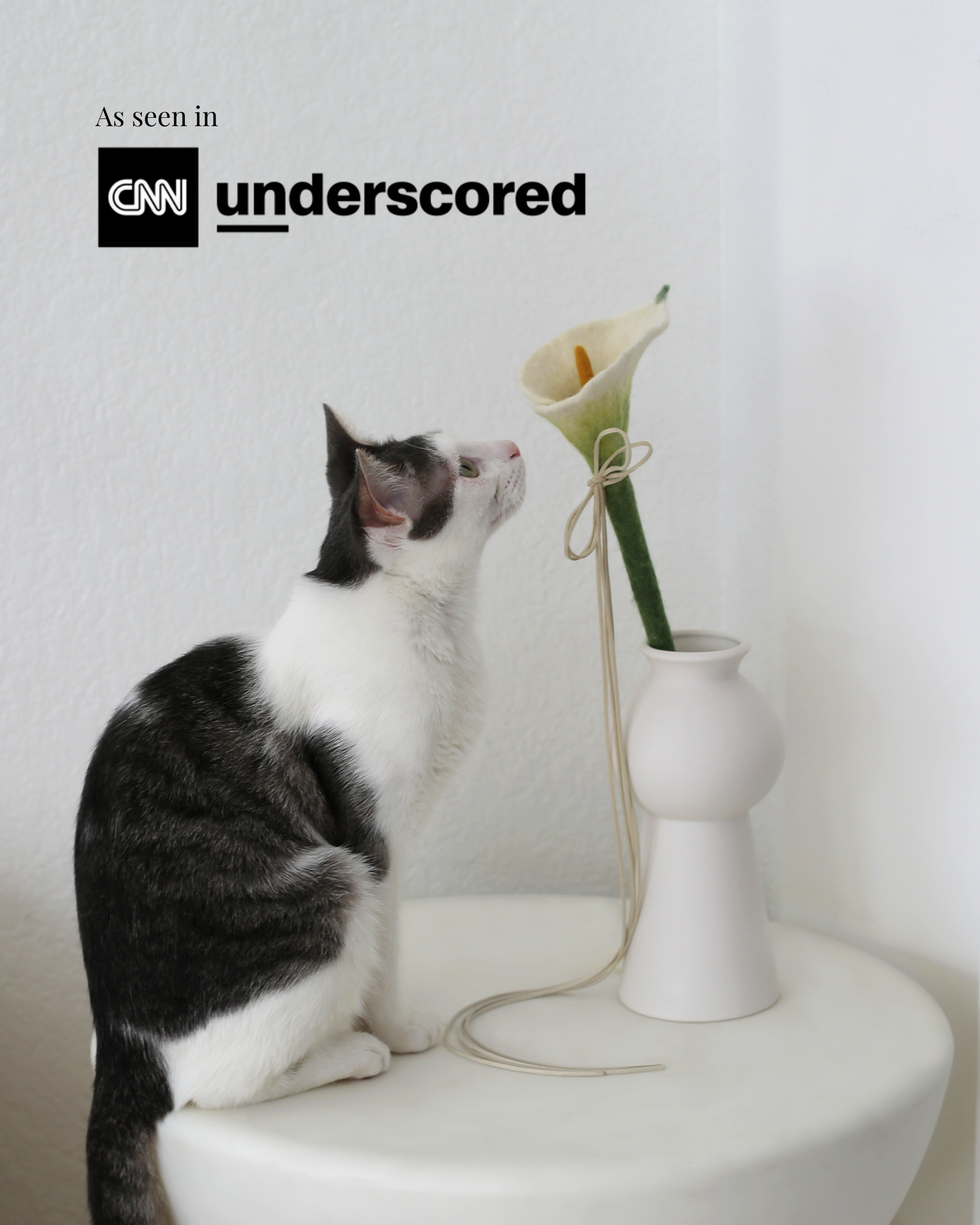 Cat smelling a flower in a vase on a white surface with 'CNN underscored' logo.