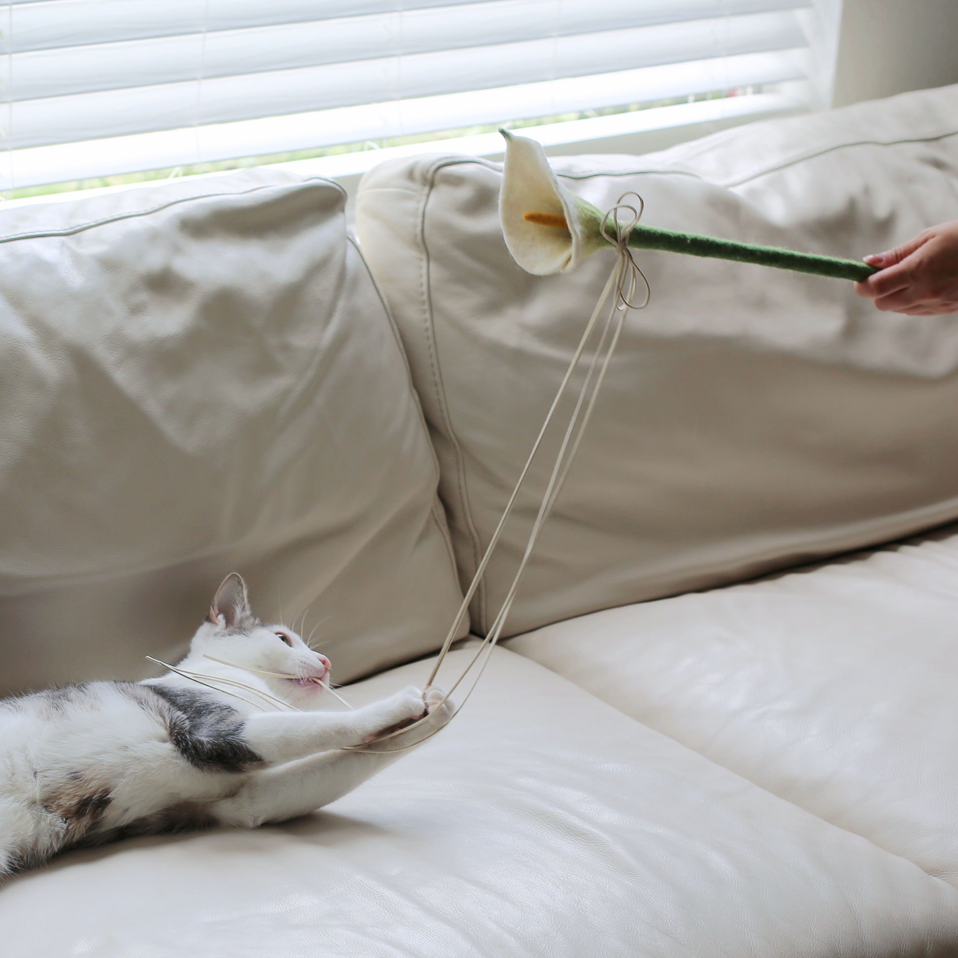 Cat playing with a toy flower on a white couch