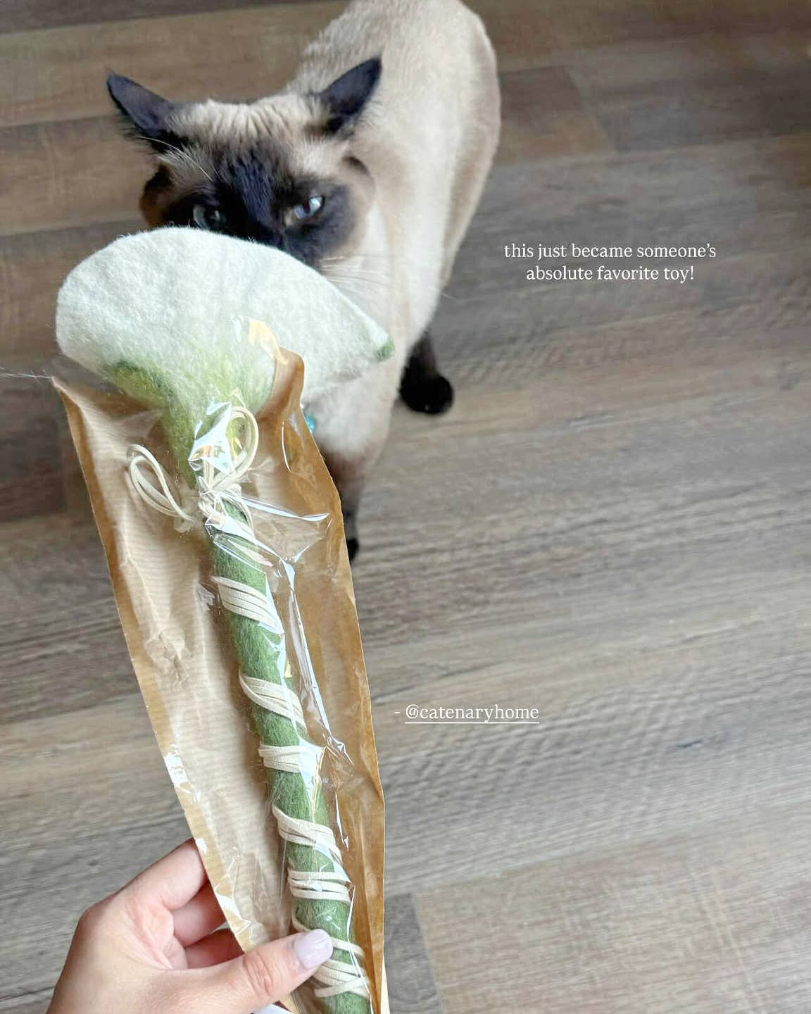 Cat playing with a toy shaped like a bouquet on a wooden floor