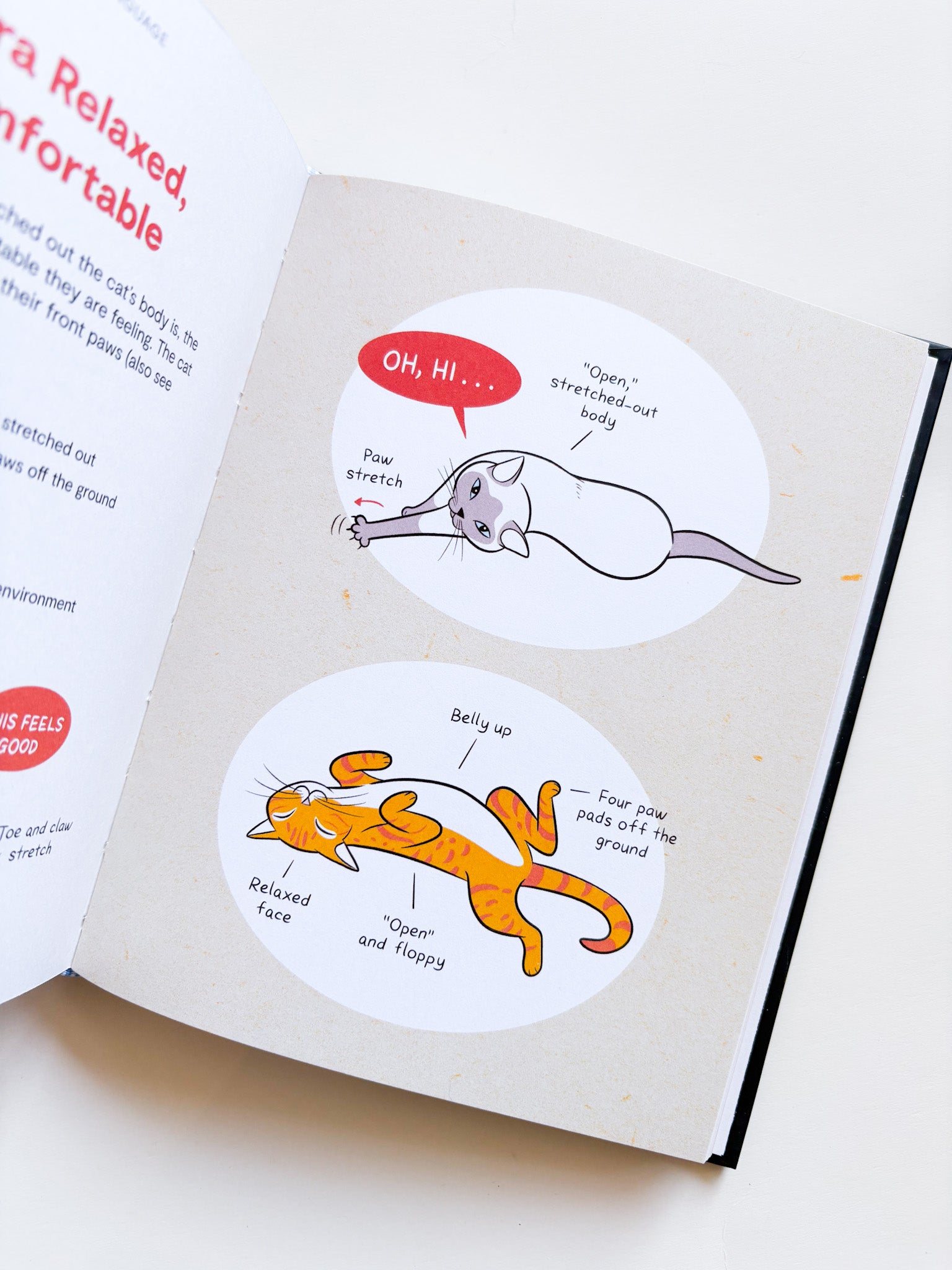 Illustrations of a cat and a dog on a book page with text about their body language.