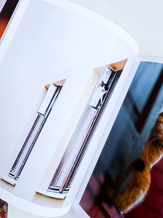 Literally Pictures of  Cute Cats Plotting