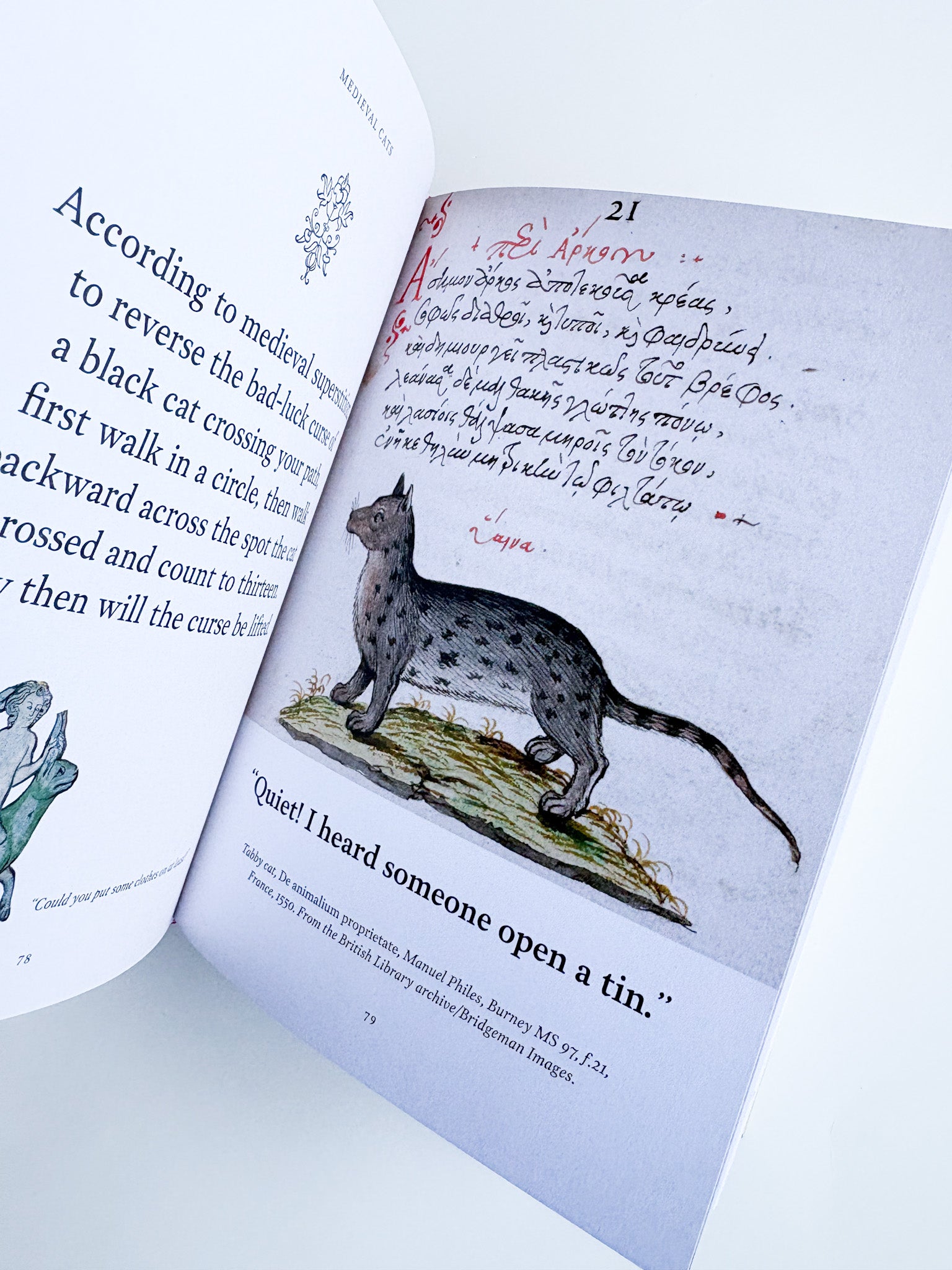 Open book with illustrations of a cat and text on a white background