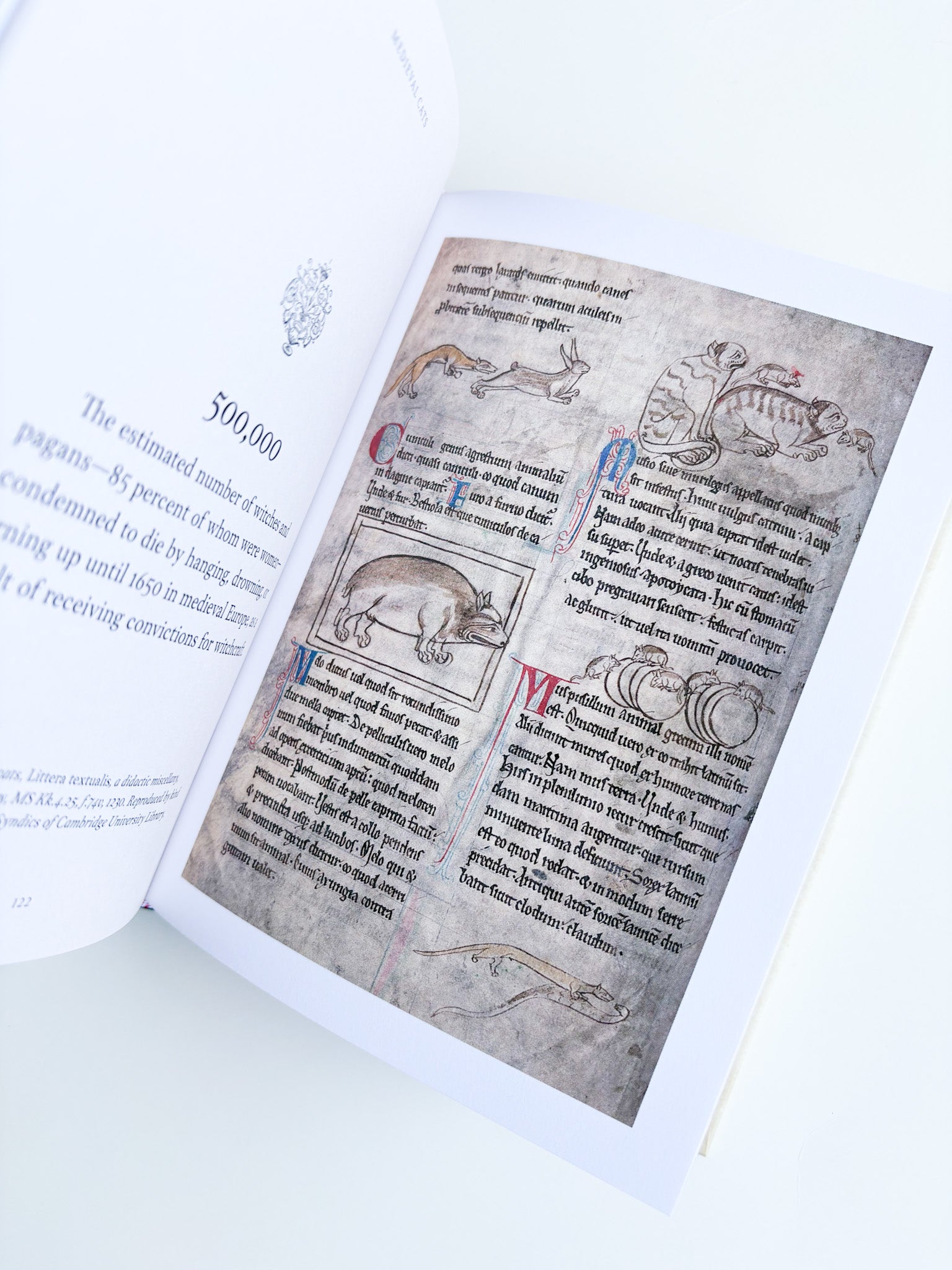 Open book with medieval text and illustrations on a white background