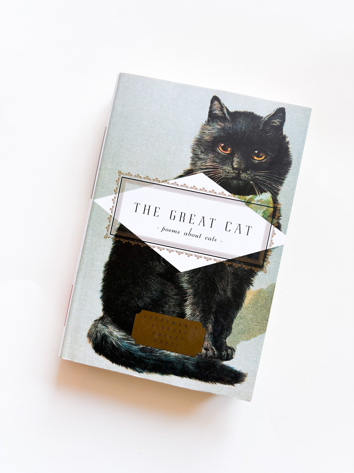 Book titled 'The Great Cat' with a black cat illustration on the cover.