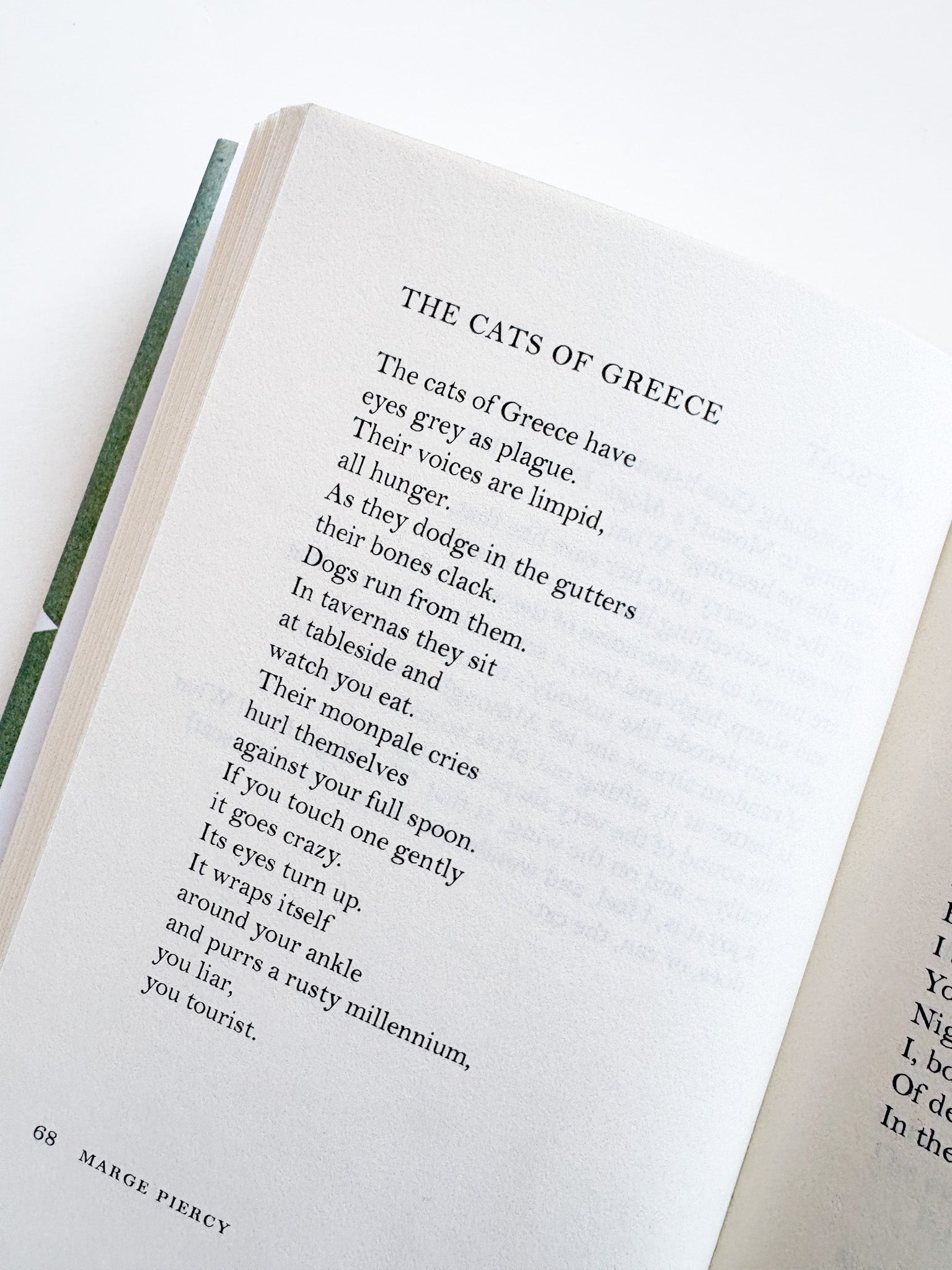 Open book with text on a white background