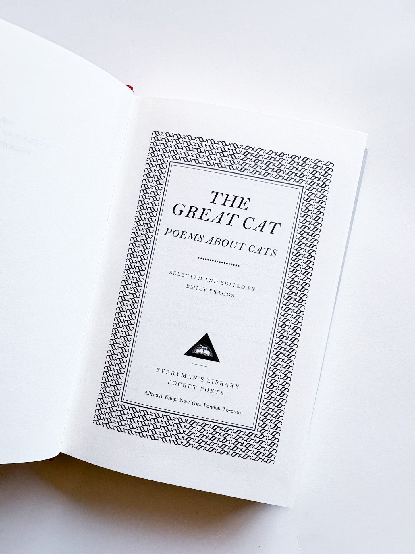Book titled 'The Great Cat: Poems About Cats' on a white background