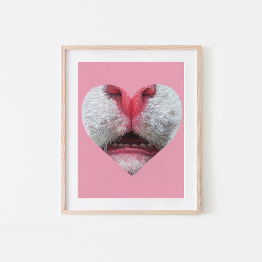 White Cat Teeth Heart Art Print
