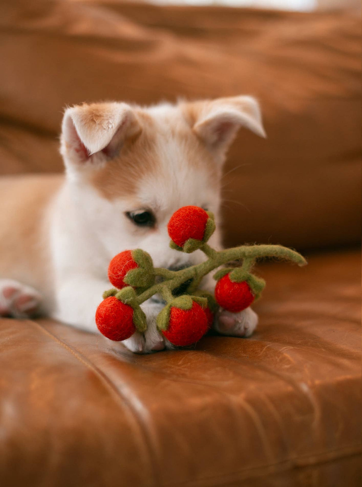 Cherry Tomato Vine Wool Cat Toy