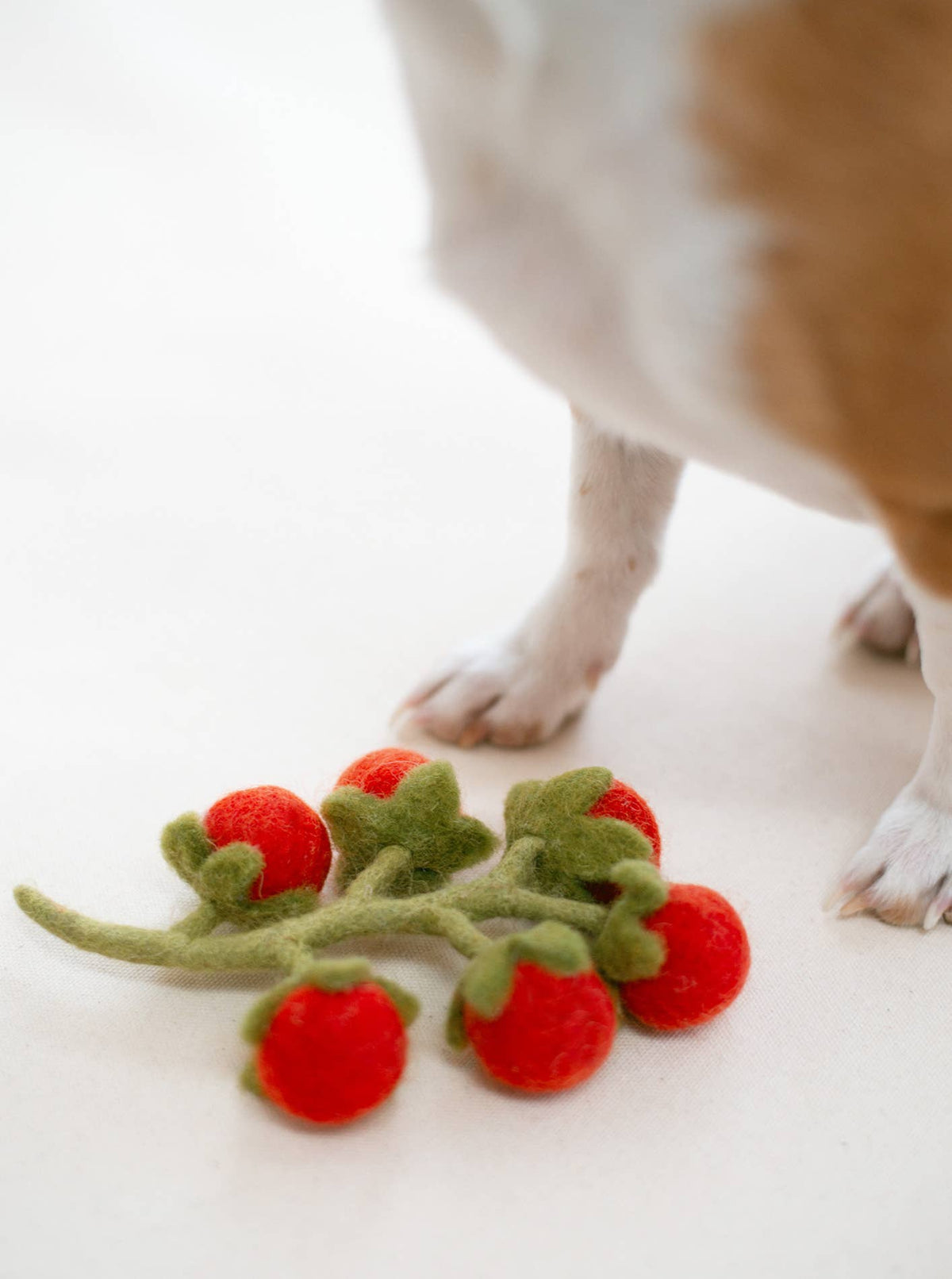 Cherry Tomato Vine Wool Cat Toy