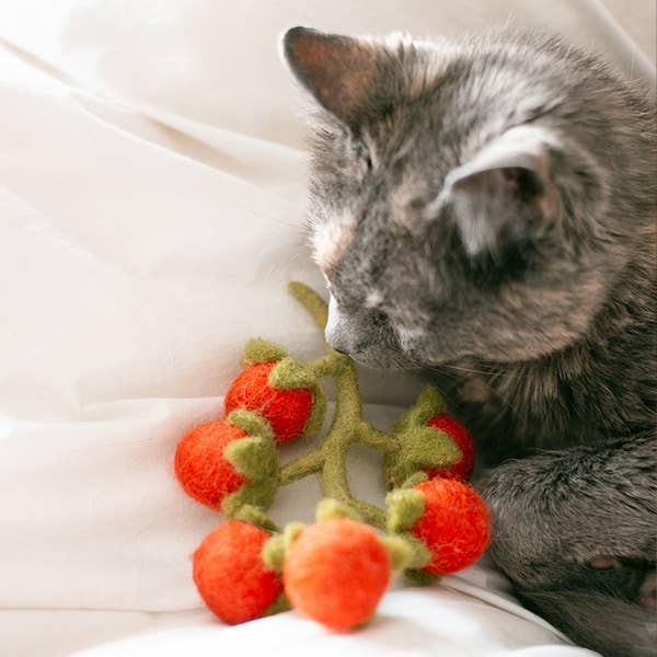 Cherry Tomato Vine Wool Cat Toy