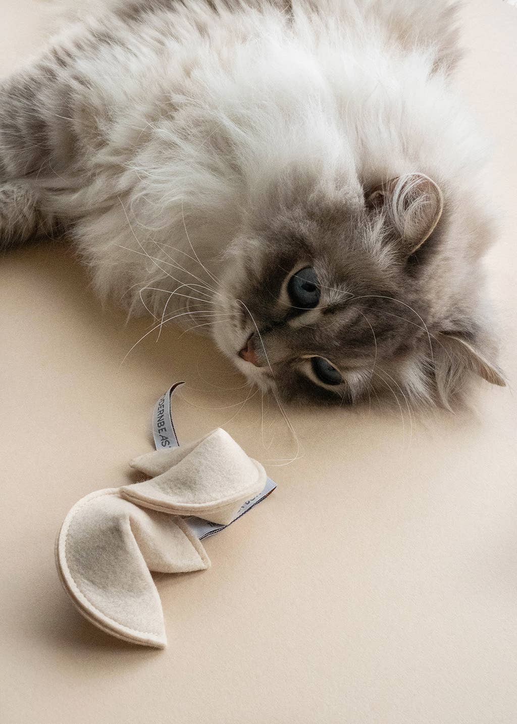 Fortune Cookie Catnip Toy: You Will Miss The Litterbox