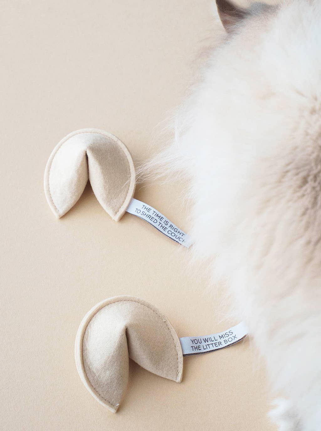 Fortune Cookie Catnip Toy: You Will Miss The Litterbox