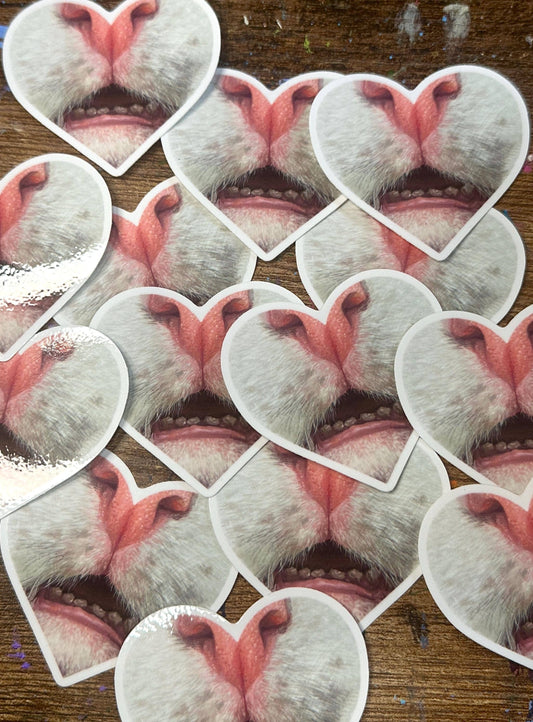 White Cat Teeth Heart Sticker